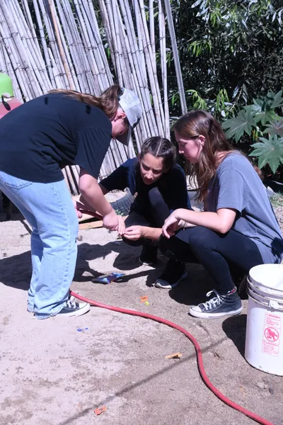 DSC_2041 (Large).JPG